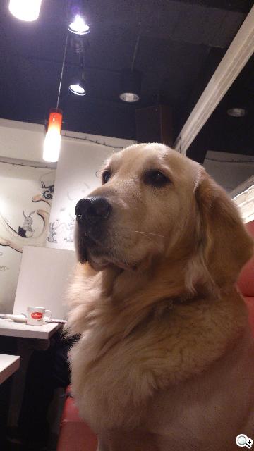 Sony XPERIA S進階體驗 相機、效能實測分享 Sony XPERIA S進階體驗 相機、效能實測分享