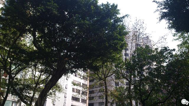 Sony XPERIA S進階體驗 相機、效能實測分享 Sony XPERIA S進階體驗 相機、效能實測分享