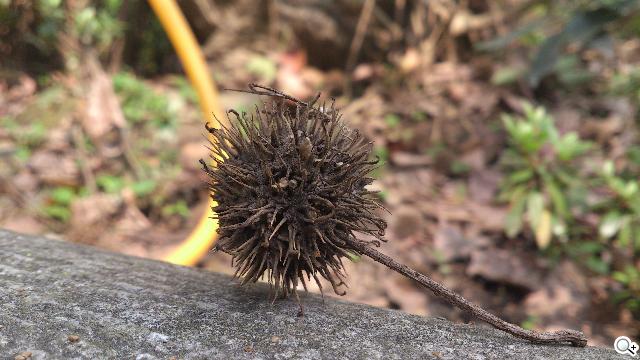 Sony XPERIA S進階體驗 相機、效能實測分享 Sony XPERIA S進階體驗 相機、效能實測分享