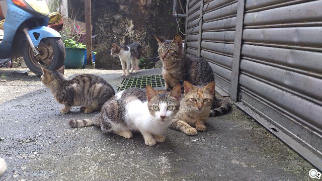 Sony XPERIA S進階體驗 相機、效能實測分享 Sony XPERIA S進階體驗 相機、效能實測分享