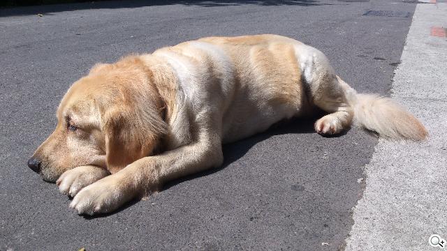 Sony XPERIA S進階體驗 相機、效能實測分享 Sony XPERIA S進階體驗 相機、效能實測分享