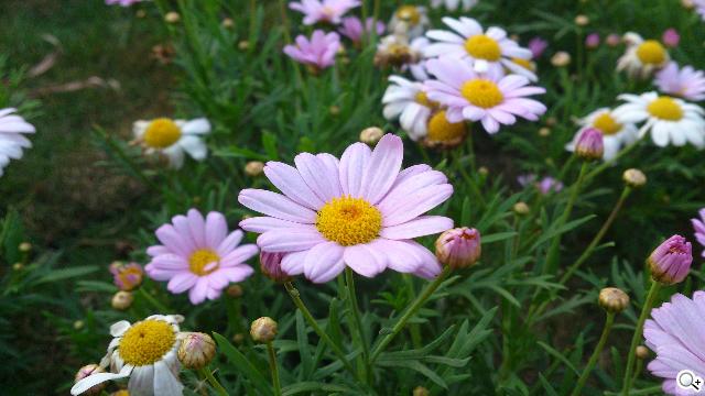 Sony XPERIA S進階體驗 相機、效能實測分享 Sony XPERIA S進階體驗 相機、效能實測分享