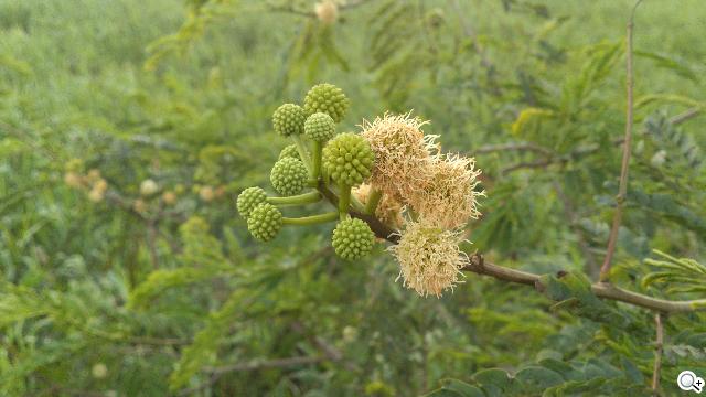 Sony XPERIA S進階體驗 相機、效能實測分享 Sony XPERIA S進階體驗 相機、效能實測分享