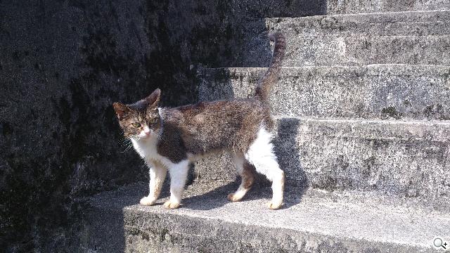 Sony XPERIA S進階體驗 相機、效能實測分享 Sony XPERIA S進階體驗 相機、效能實測分享