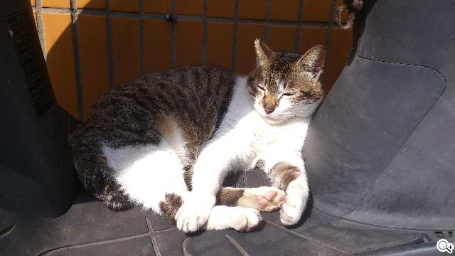 Sony XPERIA S進階體驗 相機、效能實測分享 Sony XPERIA S進階體驗 相機、效能實測分享