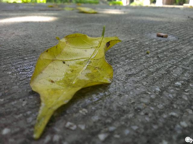 HTC One X、Sony XPERIA S雙雄 攝錄交鋒 HTC One X、Sony XPERIA S雙雄 攝錄交鋒