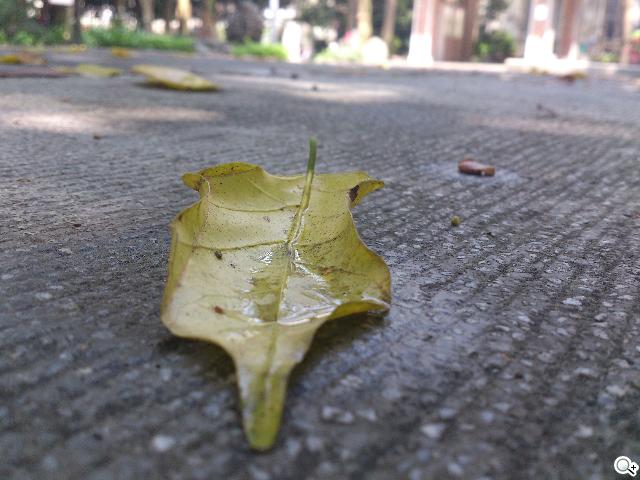 HTC One X、Sony XPERIA S雙雄 攝錄交鋒 HTC One X、Sony XPERIA S雙雄 攝錄交鋒