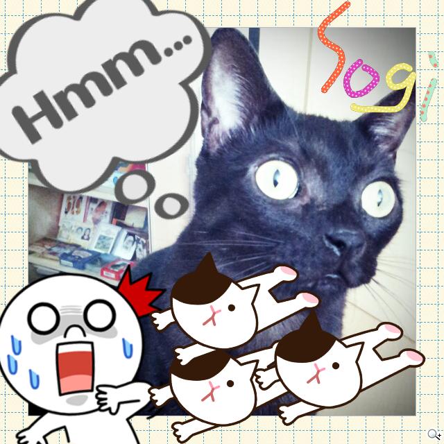 LINE camera讓饅頭人、熊大、兔兔攻占你的相片