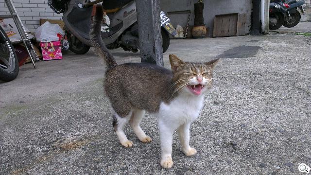 HTC One X極速相機實測 HDR體驗心得 HTC One X極速相機實測 HDR體驗心得