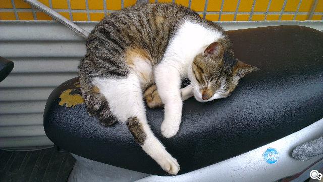 HTC One X極速相機實測 HDR體驗心得 HTC One X極速相機實測 HDR體驗心得