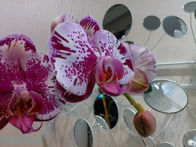 高通S4 Pro APQ8064四核平板電腦 效能表現驚人 高通S4 Pro APQ8064四核平板電腦 效能表現驚人