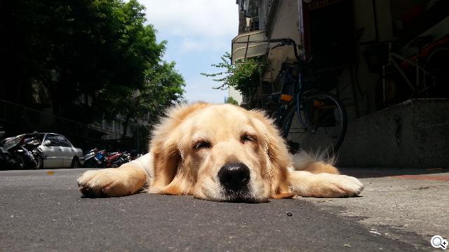 三星GALAXY S3相機實測 畫質更優 速度更快 三星GALAXY S3相機實測 畫質更優 速度更快