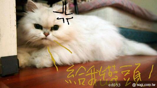 三星GALAXY S3 原廠週邊配件動手玩 三星GALAXY S3 原廠週邊配件動手玩