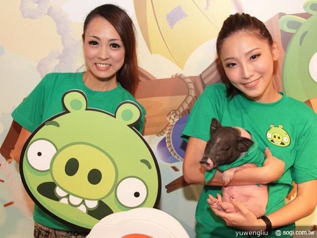 ROVIO推新作Bad Piggies搗蛋豬 遠傳S市集搶先上架 ROVIO推新作Bad Piggies搗蛋豬 遠傳S市集搶先上架