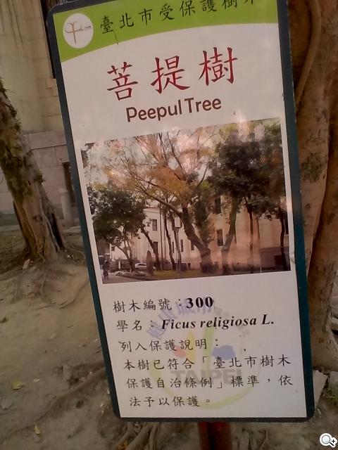 【攝錄】ASUS PadFone2攝錄與多媒體實力總體檢