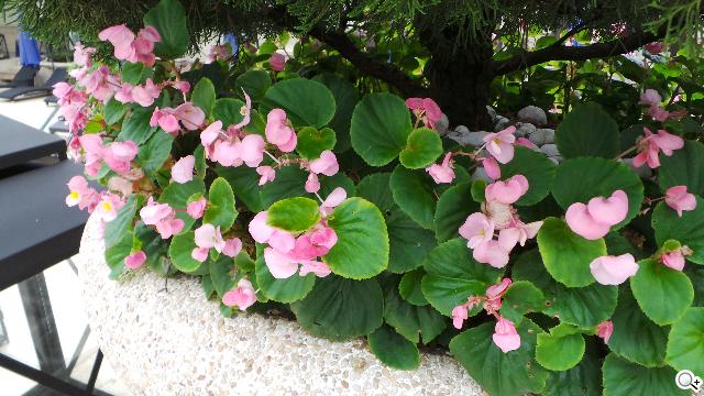 三星GALAXY Camera智慧相機 實拍效果詳測