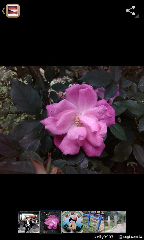 moii E801 五千有找的雙核4 吋雙卡智慧機