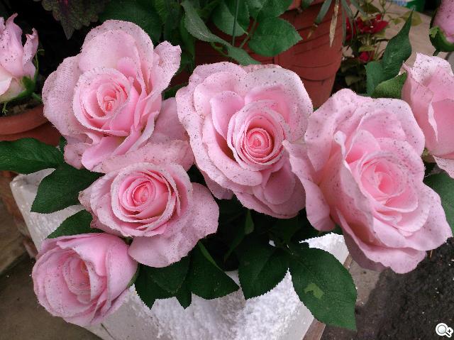 【攝錄】Sony Xperia V LT25i 絕美13MP相機耍心機 【攝錄】Sony Xperia V LT25i 絕美13MP相機耍心機