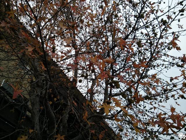 【攝錄】Google Nexus 4 縱橫美西攝錄功能實測