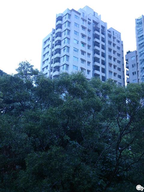 Sony Xperia T 心動弧線arc外型 怦然登場 Sony Xperia T 心動弧線arc外型 怦然登場