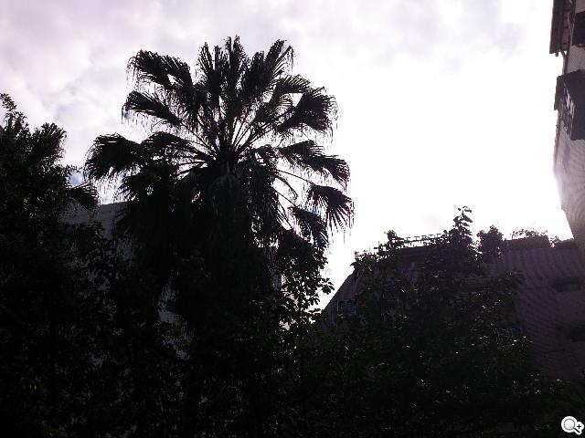 Sony Xperia T 心動弧線arc外型 怦然登場 Sony Xperia T 心動弧線arc外型 怦然登場