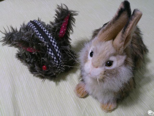 Sony Xperia T 心動弧線arc外型 怦然登場 Sony Xperia T 心動弧線arc外型 怦然登場