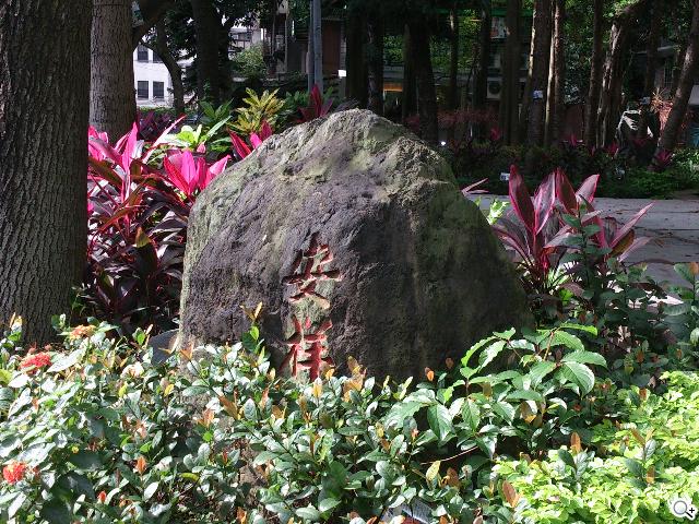 Sony Xperia T 心動弧線arc外型 怦然登場 Sony Xperia T 心動弧線arc外型 怦然登場