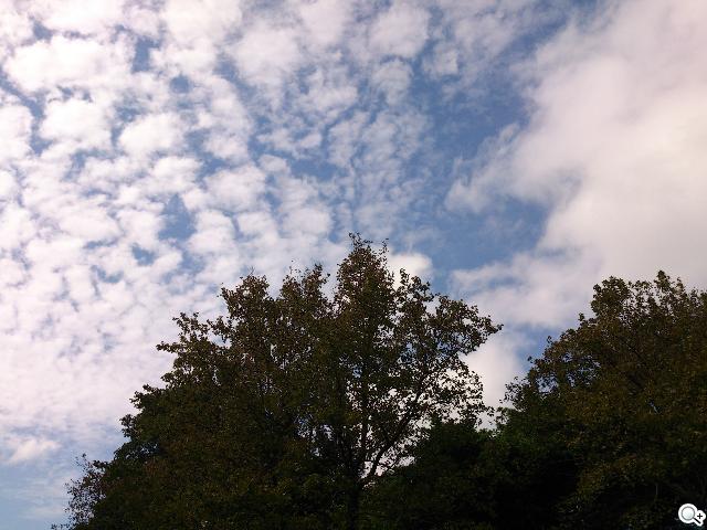 Sony Xperia T 心動弧線arc外型 怦然登場 Sony Xperia T 心動弧線arc外型 怦然登場