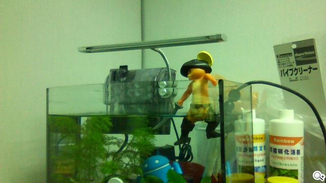 Sony Xperia T 心動弧線arc外型 怦然登場 Sony Xperia T 心動弧線arc外型 怦然登場