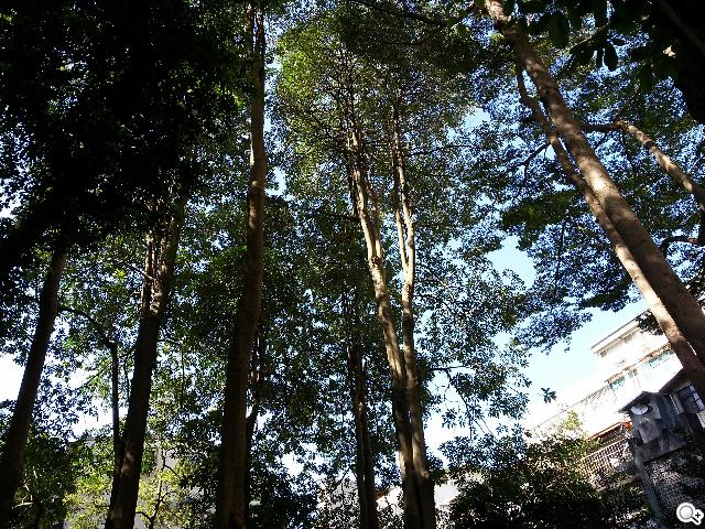 輕巧大視野 三星GALAXY Premier變臉機