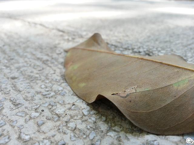 輕巧大視野 三星GALAXY Premier變臉機