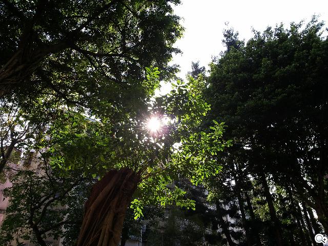 輕巧大視野 三星GALAXY Premier變臉機