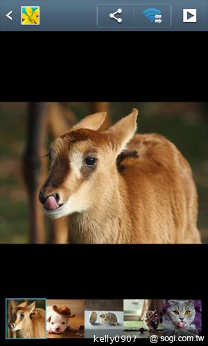 三星GALAXY S3 mini i8190 迷你微旗艦 功能不縮水