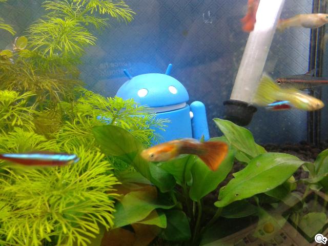 三星GALAXY S3 mini i8190 迷你微旗艦 功能不縮水