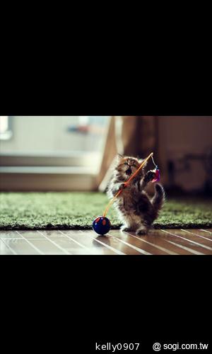 台灣製造的平價雙核手機 INHON PAPILIO G1