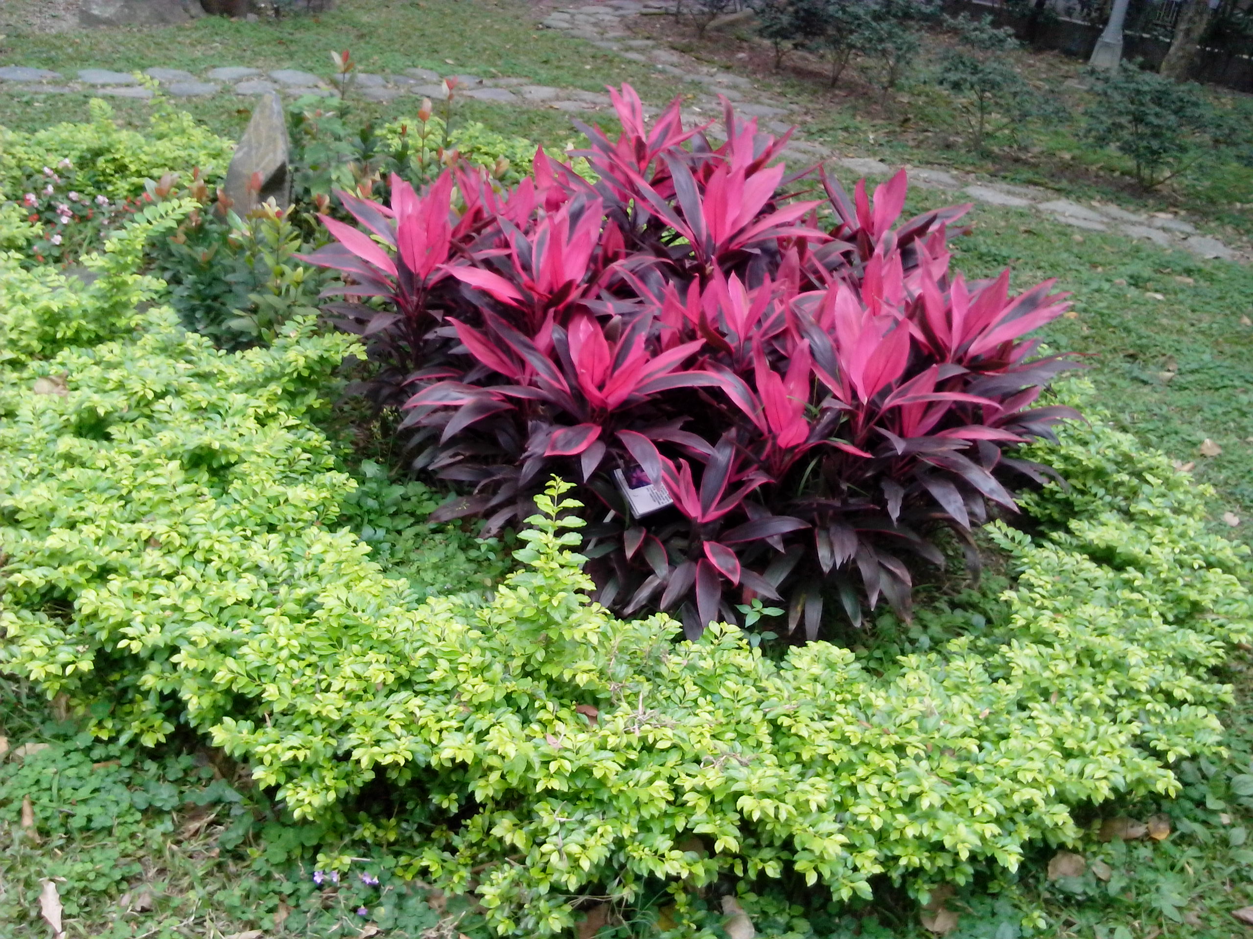 台灣製造的平價雙核手機 INHON PAPILIO G1