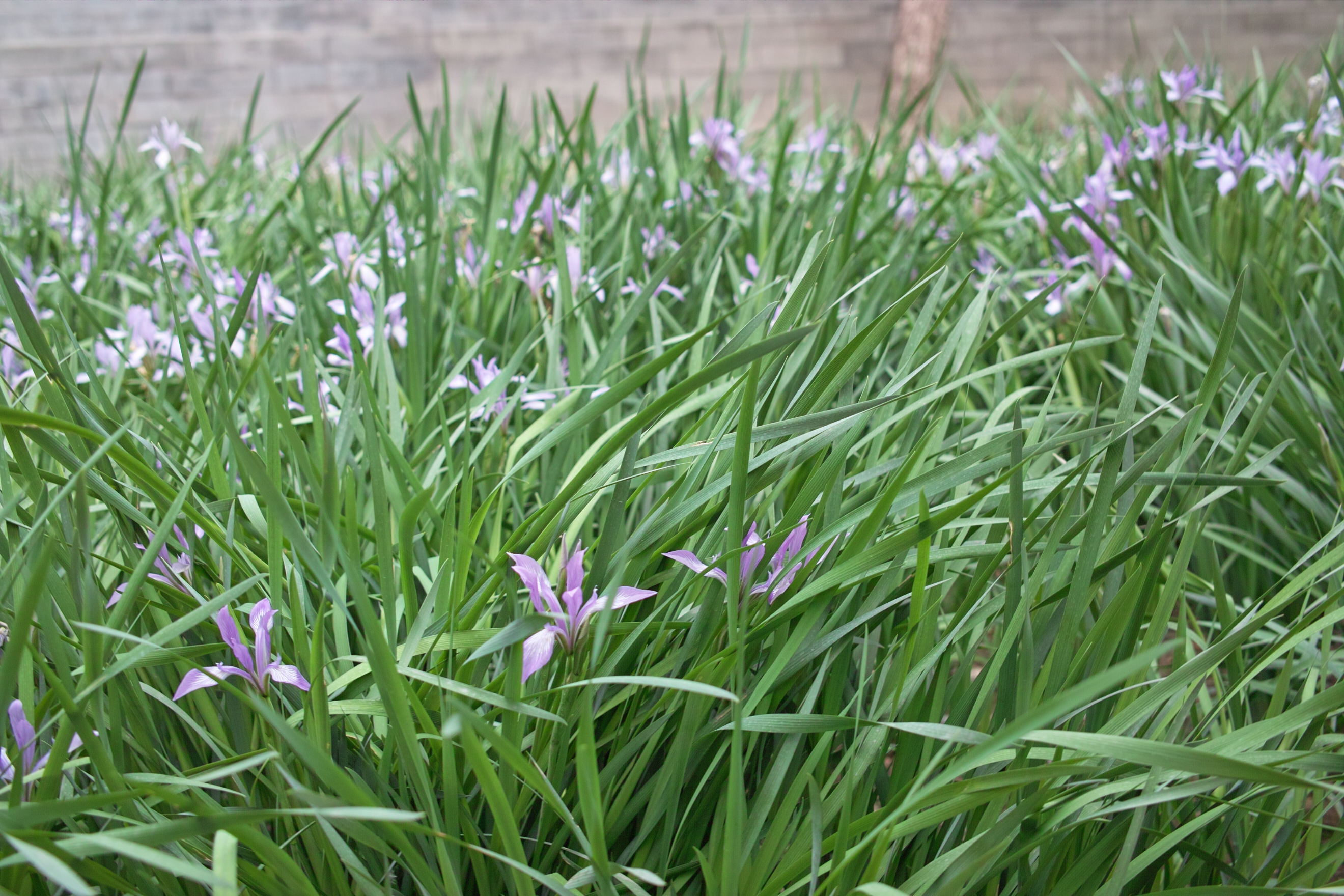 HTC M7拍照的秘密武器？Ultrapixel感光元件揭秘