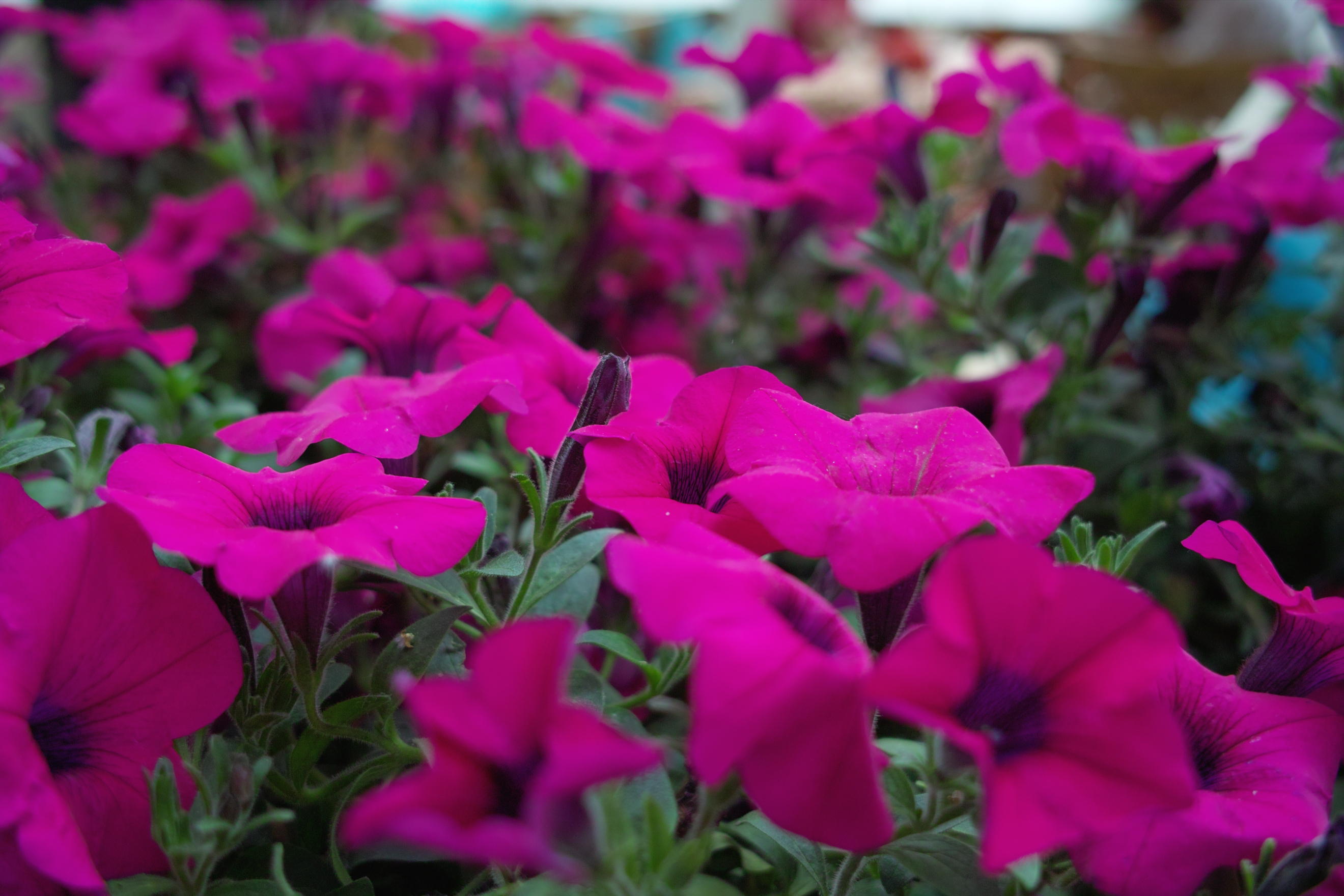 HTC M7拍照的秘密武器？Ultrapixel感光元件揭秘