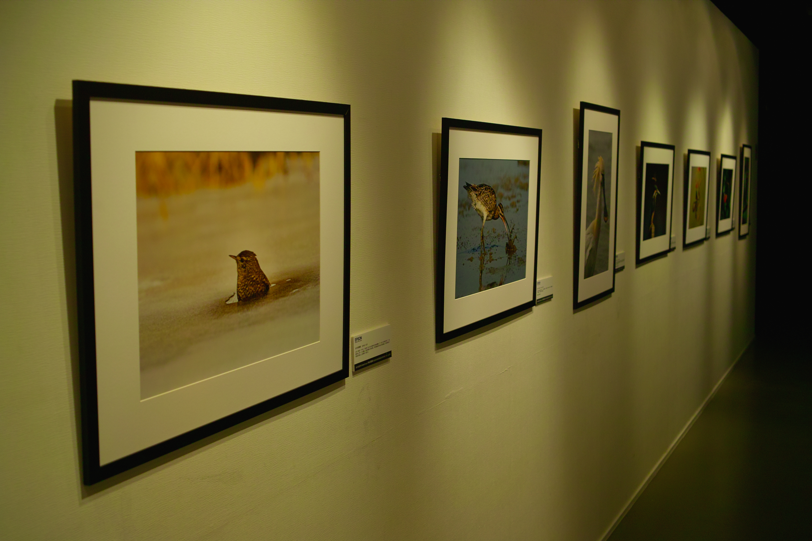 HTC M7拍照的秘密武器？Ultrapixel感光元件揭秘