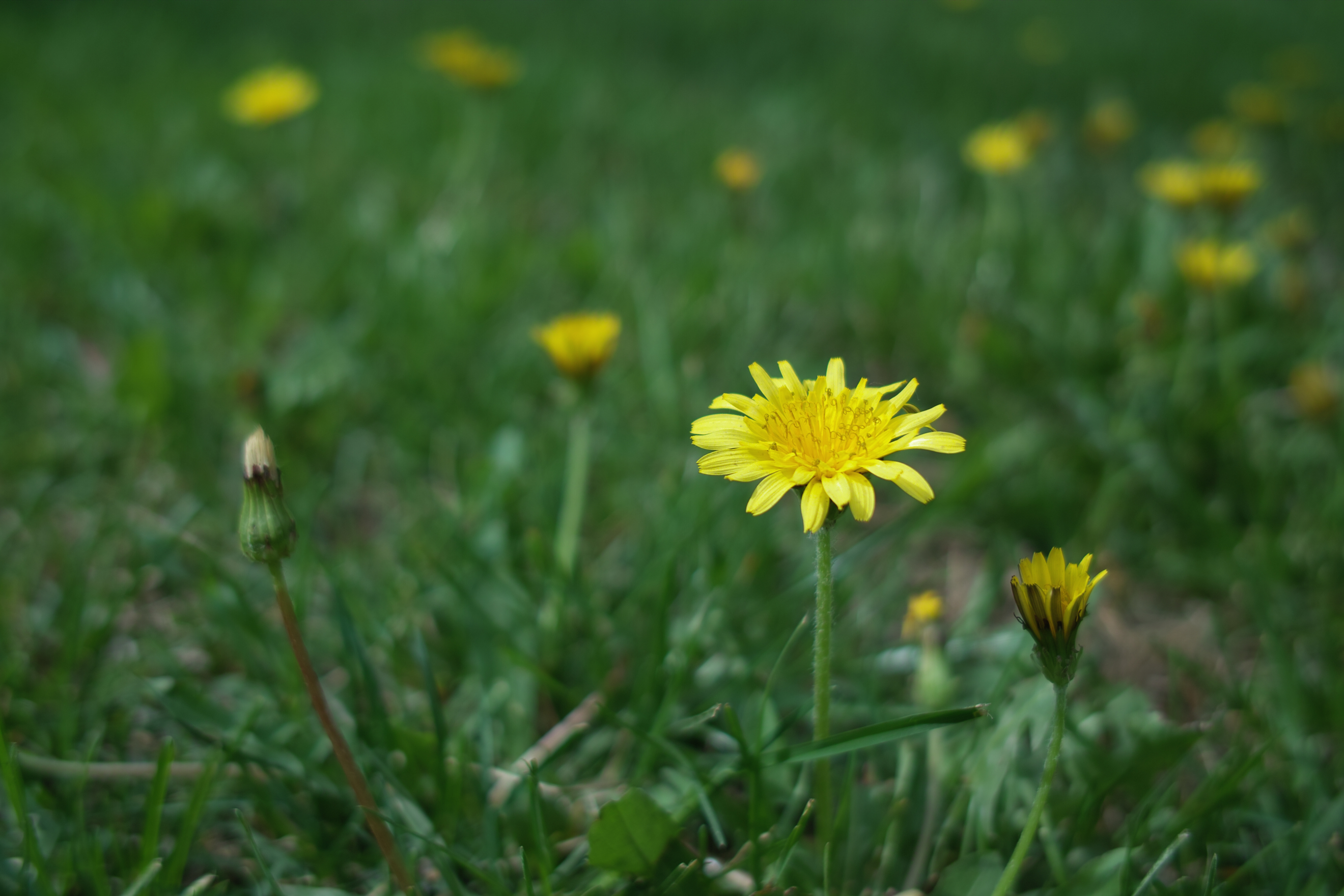 HTC M7拍照的秘密武器？Ultrapixel感光元件揭秘