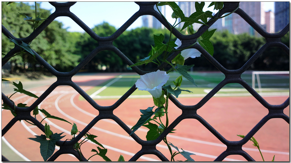 HTC M7拍照的秘密武器？Ultrapixel感光元件揭秘