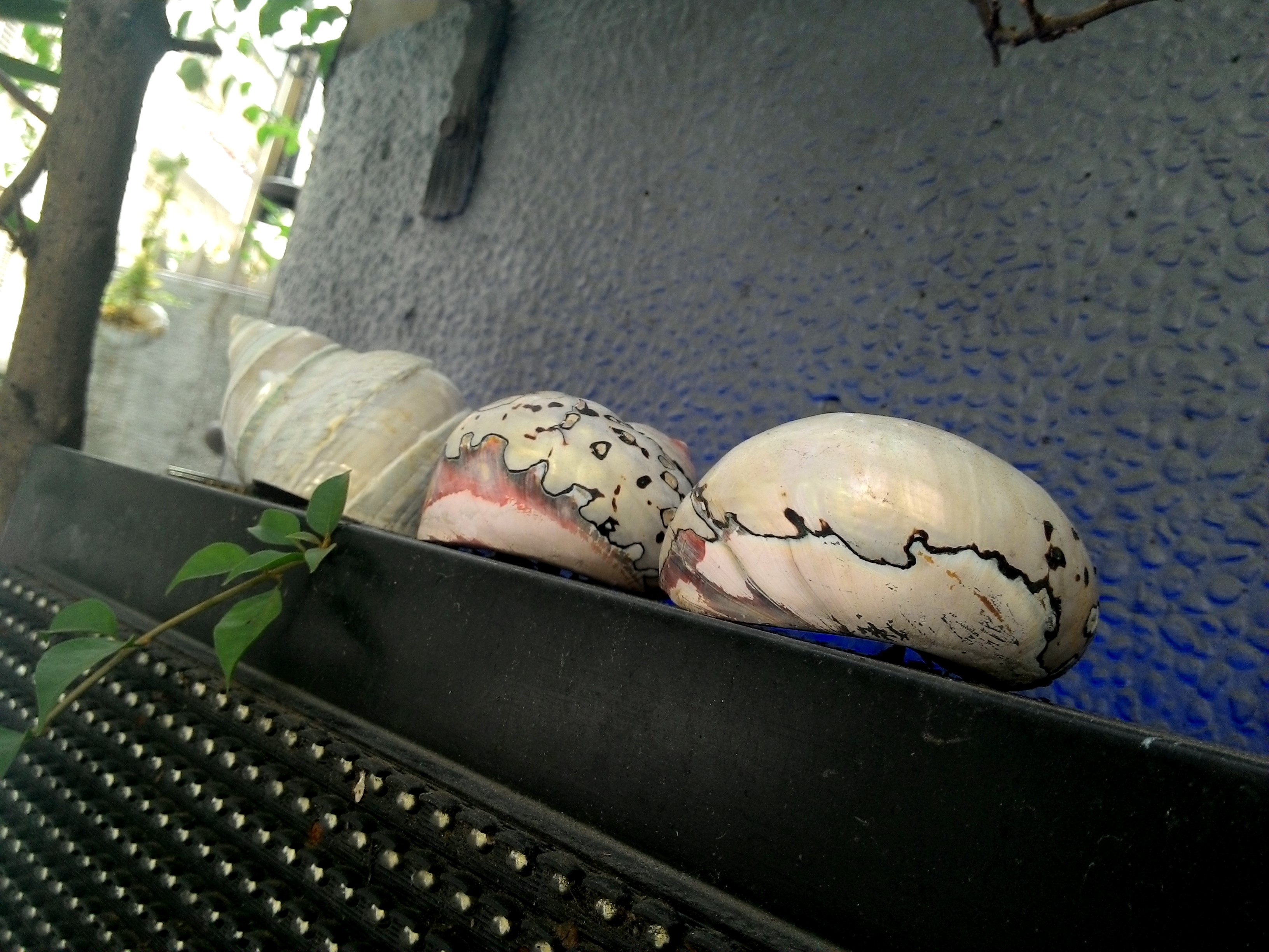 華碩VivoTab Smart ME400平板 Win8輕巧帶著走