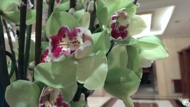 408萬畫素新HTC One實拍測試 UltraPixel與Zoe解析