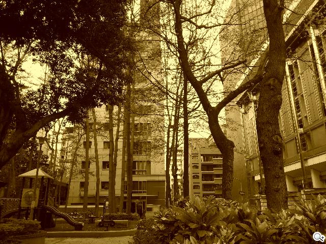 三星GALAXY Grand Duos 大螢幕雙卡雙待機