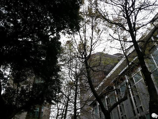 三星GALAXY Grand Duos 大螢幕雙卡雙待機