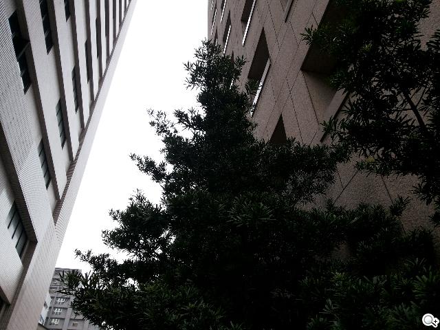 三星GALAXY Grand Duos 大螢幕雙卡雙待機