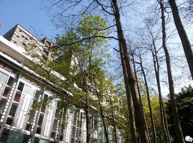 樂金四核旗艦機LG Optimus G 採水晶反射處理