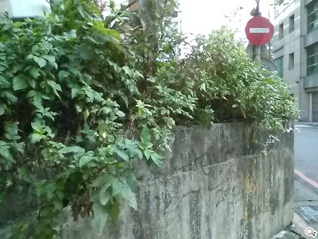 樂金四核旗艦機LG Optimus G 採水晶反射處理