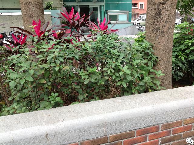 Apple iPad 4th平板電腦 延續經典再出擊 Apple iPad 4th平板電腦 延續經典再出擊