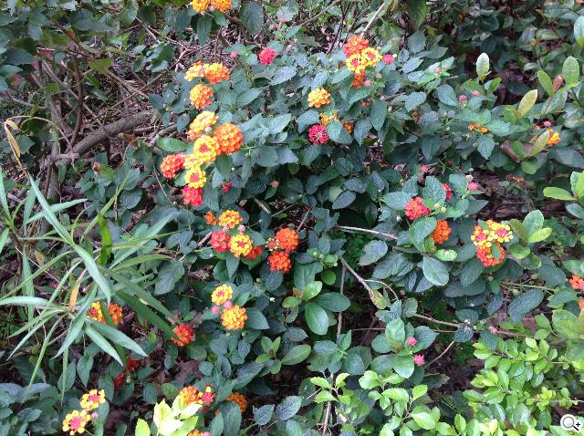 Apple iPad 4th平板電腦 延續經典再出擊 Apple iPad 4th平板電腦 延續經典再出擊